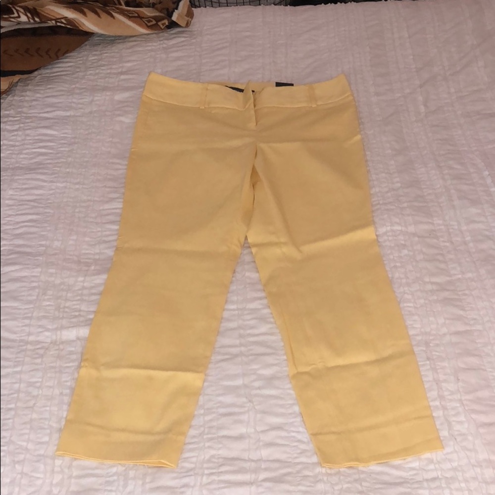 The limited ankle pants